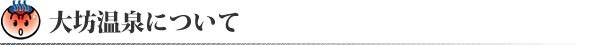 大坊温泉について